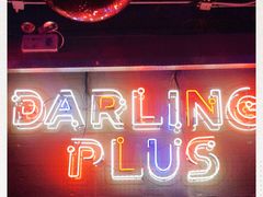 -Darling Queen·Mini·Live·House