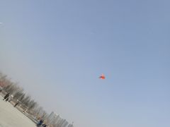 -丁香湖公园