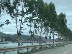 -盐洲岛