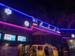 -枫花园汽车电影院(朝阳公园店)