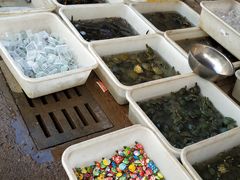 -中环花鸟鱼虫市场
