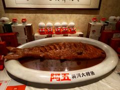 -阿五黄河大鲤鱼(纬三路店)