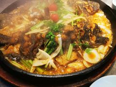 -老板恋上鱼(恒隆广场店)