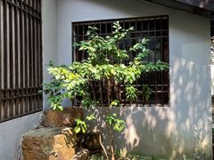 -惠山古镇·寄畅园