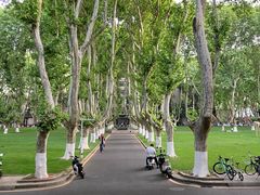 -东南大学(四牌楼校区)