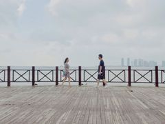 -万绿园