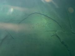 -白鹤梁水下博物馆