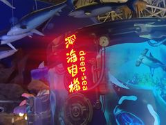 -烟台海昌鲸鲨海洋公园