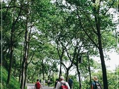 -广州雕塑公园