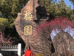 -无锡梅园公园