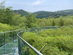 -陶祖圣境风景区