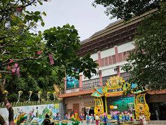 -西双版纳原始森林公园