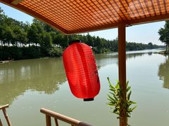 -合肥滨湖国家森林公园