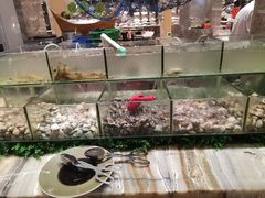 海鲜池-福州西湖大酒店·怡湖咖啡厅