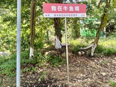 -牛鱼嘴原始生态风景区
