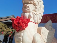 -泰山风景名胜区-虎山公园