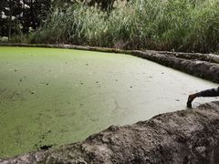 -成都市活水公园