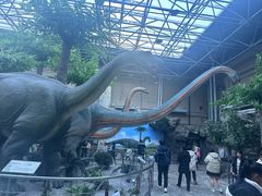 -国家自然博物馆