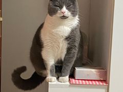 -纳吉亚猫专科动物医院博雅分院