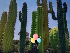 -南通洲际绿博园