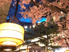 -桂满隴·站立的杭州(无锡八佰伴店)