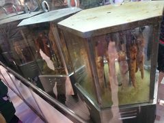 -一代烤翅王(大汉口店)