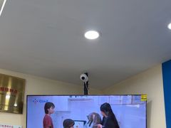 -全心全意连锁动物医院·微创中心·内科急重症·心脏专科(丰管路店)
