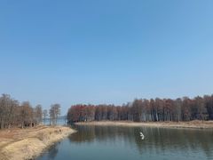 -四明湖