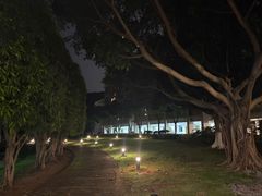 -厦门国家会计学院