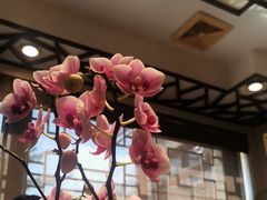 -山水茶艺馆·点心粤菜·30年老字号