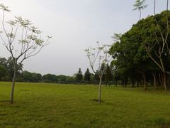 -福建鲤鱼洲酒店