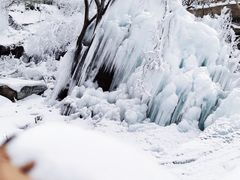 -黑龙潭风景区