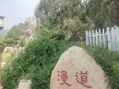 -泰山风景名胜区-虎山公园