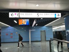 -大龙山(地铁站)