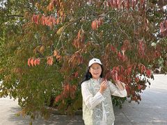 -黑龙江省森林植物园