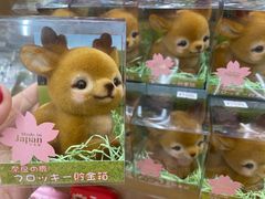 -奈良公园