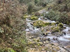 -鹿院坪生态旅游景区