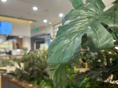 -霸王茶姬(正佳广场店)