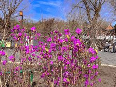 -长春市南湖公园