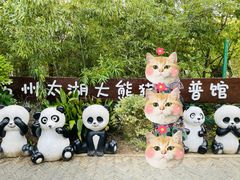 -苏州太湖国家湿地公园