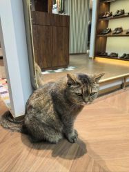 -优刻西服西装定制(金轮国际广场店)