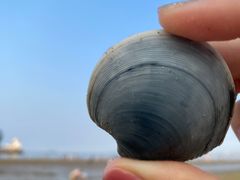 -ChanDu躔度咖啡(灯塔店)