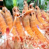 沪上老牌日料自助店