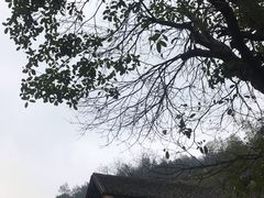 -韶山毛泽东同志故居