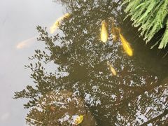 -灵秀温泉