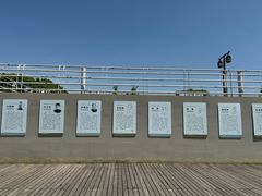 -观潮胜地公园