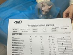 -达爱动物医院·犬猫分区·CT·复杂眼科(远洋山水分院)