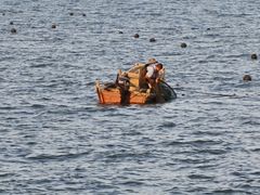 -兴城海滨风景区