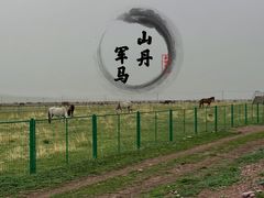 -山丹皇家马场