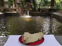 -西安国际创新人才交流中心•药浴温泉